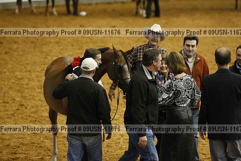 Proof 09usn-11676