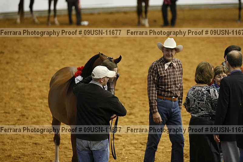 Proof 09usn-11677