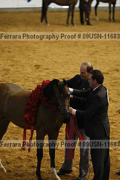 Proof 09usn-11683