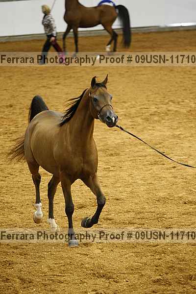Proof 09usn-11710