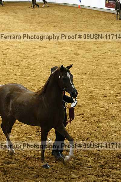 Proof 09usn-11714