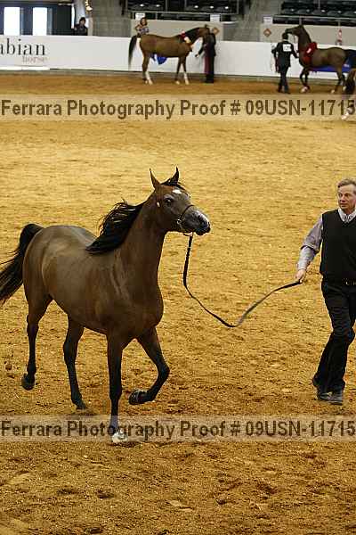 Proof 09usn-11715