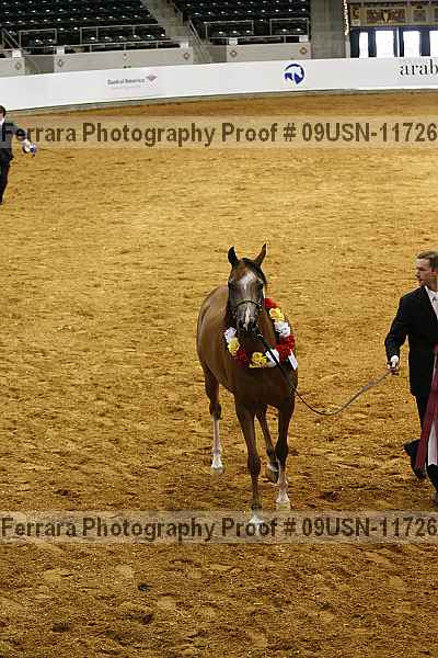 Proof 09usn-11726
