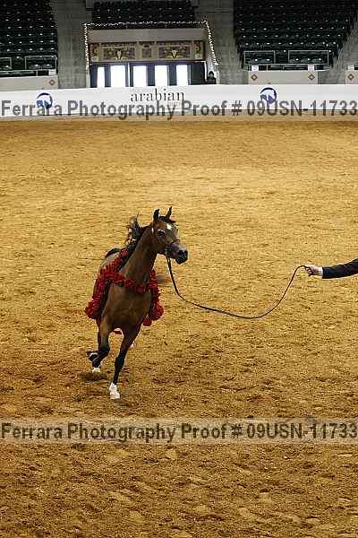 Proof 09usn-11733