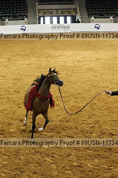Proof 09usn-11734