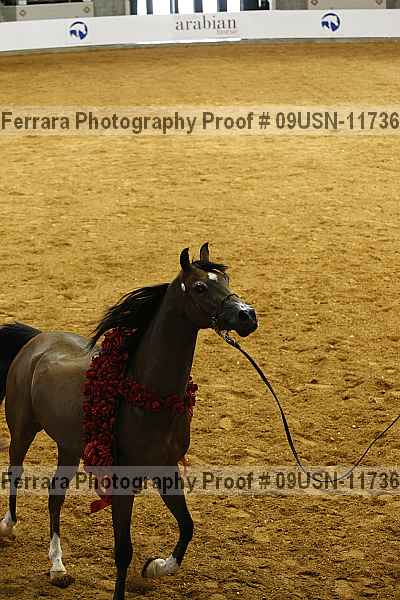 Proof 09usn-11736