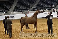 09usn-16361 proof