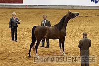 09usn-16366 proof