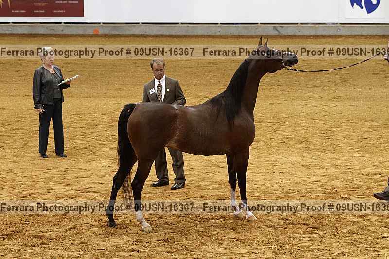 Proof 09usn-16367