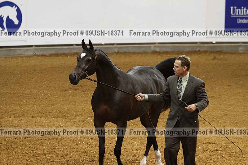 Proof 09usn-16371