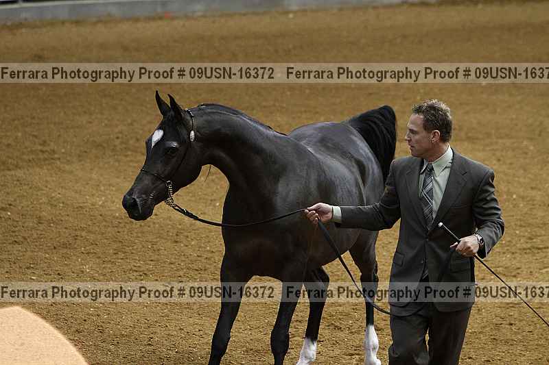 Proof 09usn-16372