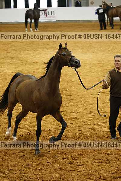 Proof 09usn-16447