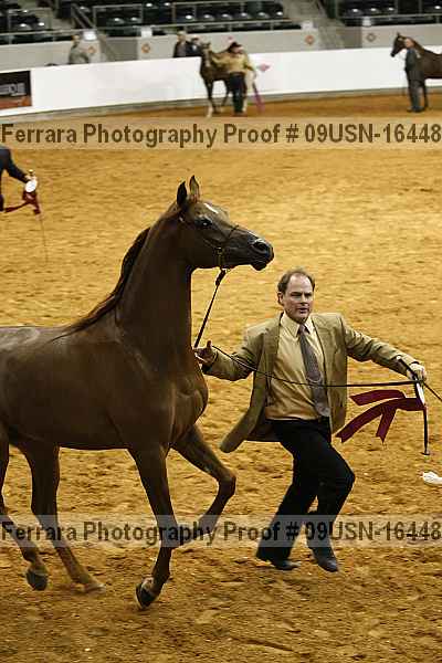 Proof 09usn-16448