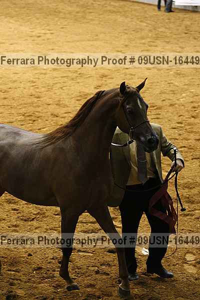 Proof 09usn-16449