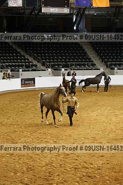Proof 09usn-16452