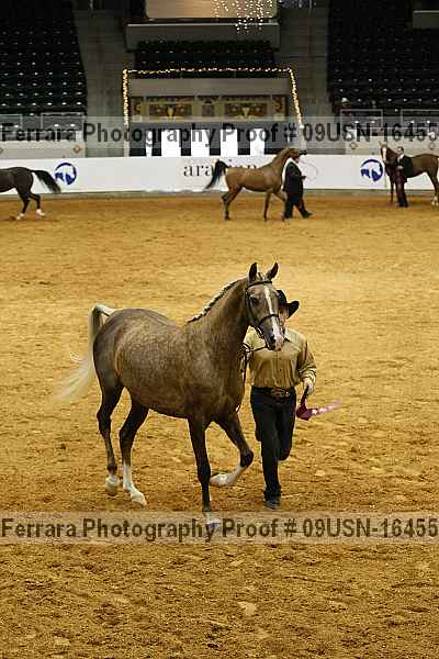 Proof 09usn-16455