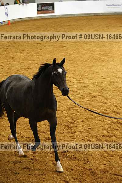 Proof 09usn-16465