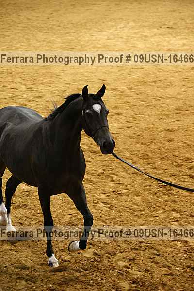 Proof 09usn-16466