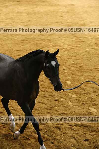 Proof 09usn-16467