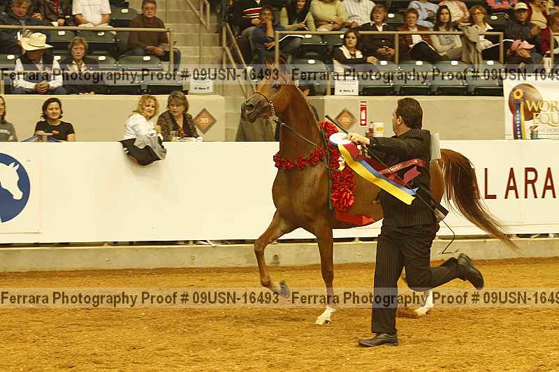 Proof 09usn-16493