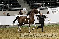 09usn-22347 proof
