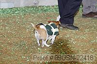 09usn-22418 proof