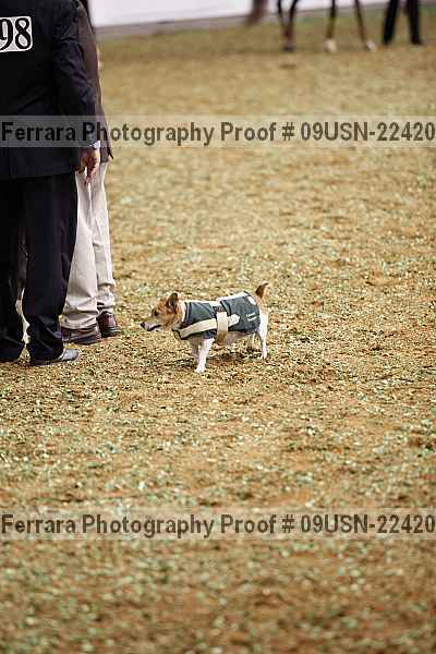 Proof 09usn-22420