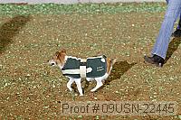 09usn-22445 proof