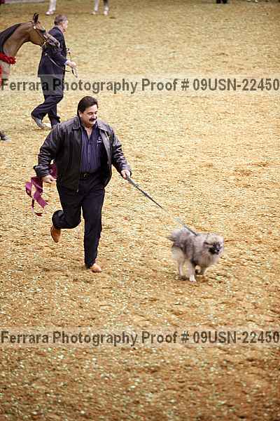 Proof 09usn-22450