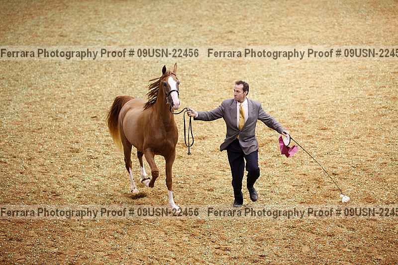 Proof 09usn-22456