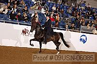09usn-06085 proof