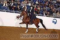 09usn-06090 proof