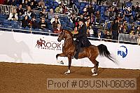 09usn-06096 proof