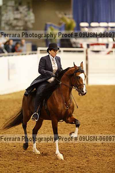 Proof 09usn-06097