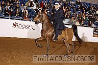 09usn-06098 proof