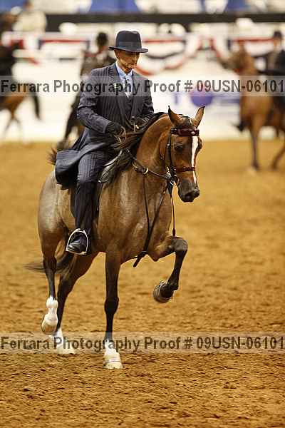 Proof 09usn-06101