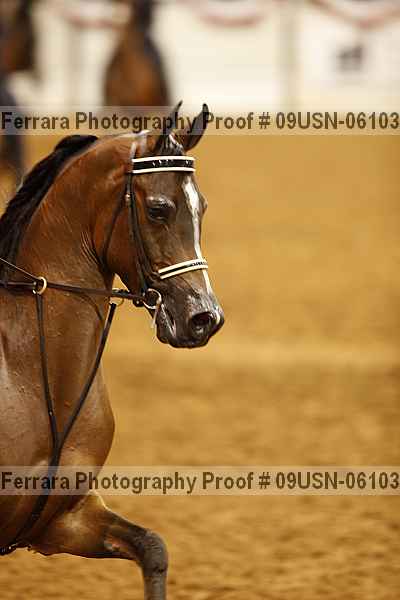 Proof 09usn-06103