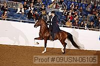 09usn-06105 proof