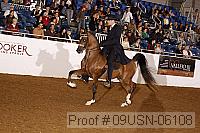 09usn-06108 proof