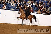 09usn-06115 proof