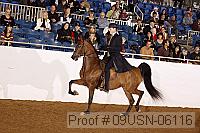 09usn-06116 proof