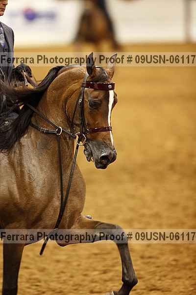 Proof 09usn-06117