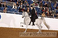 09usn-06118 proof