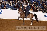 09usn-06123 proof