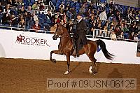 09usn-06125 proof