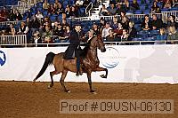 09usn-06130 proof