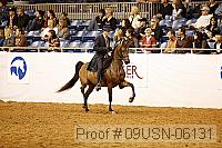 09usn-06131 proof