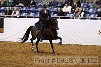 09usn-06132 proof