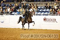 09usn-06133 proof