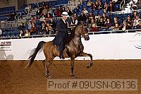 09usn-06136 proof
